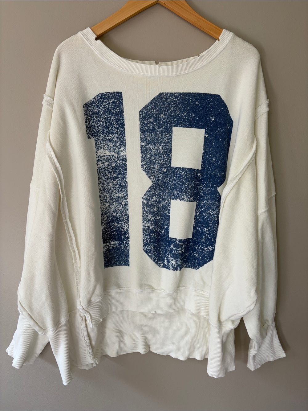 Free People We The Free Graphic Camden Pullover Sweatshirt Small Oversized